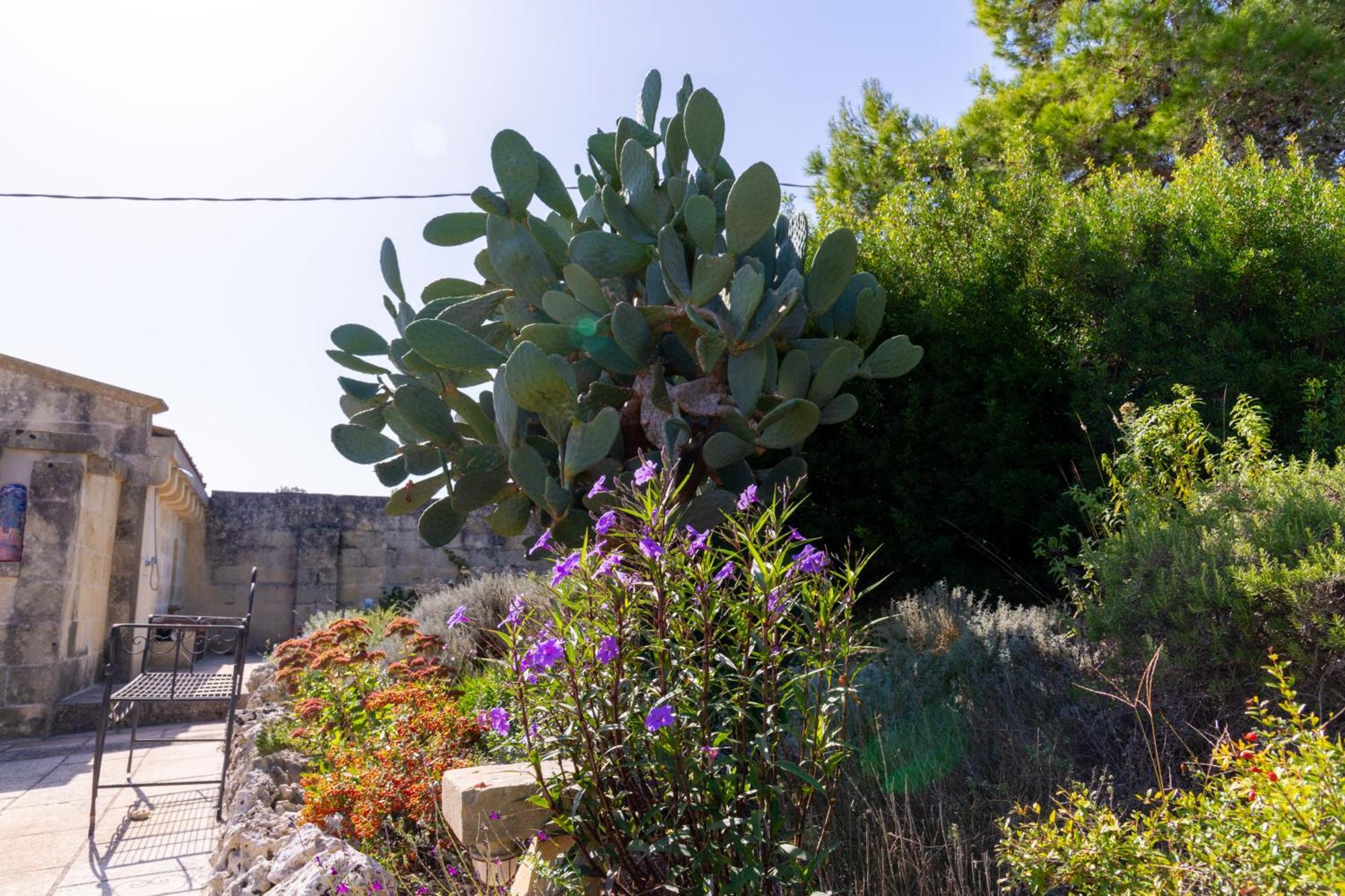 Masseria Caliani Borgagne Exteriör bild